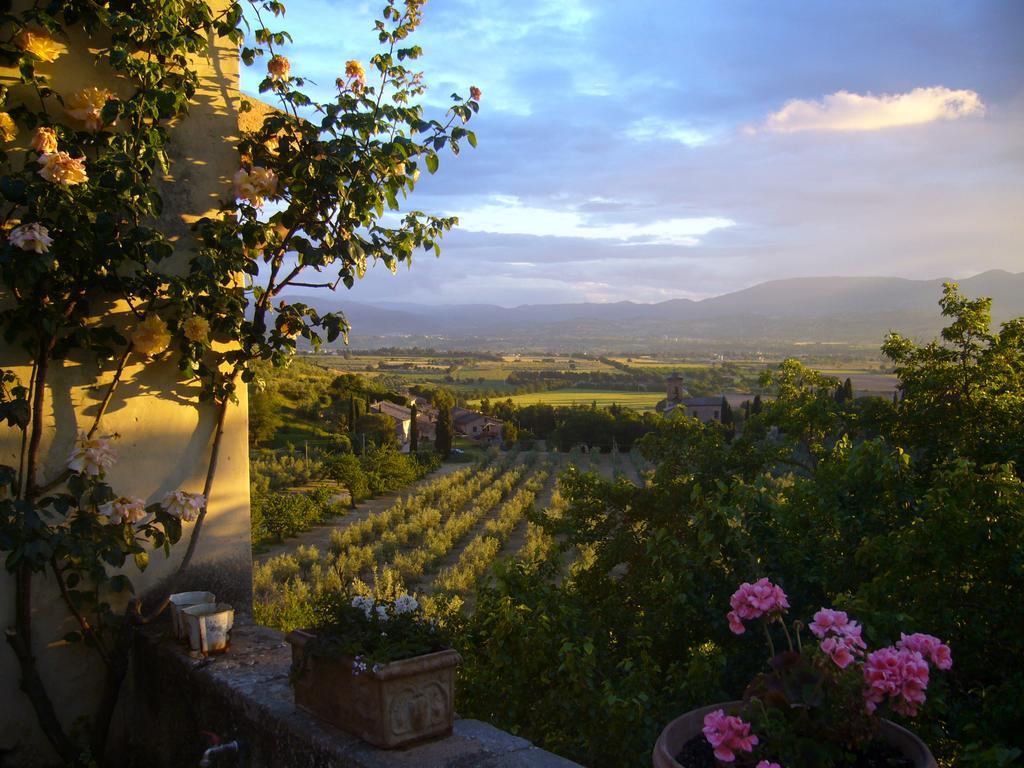 Villa Della Genga Country Houses Poreta المظهر الخارجي الصورة